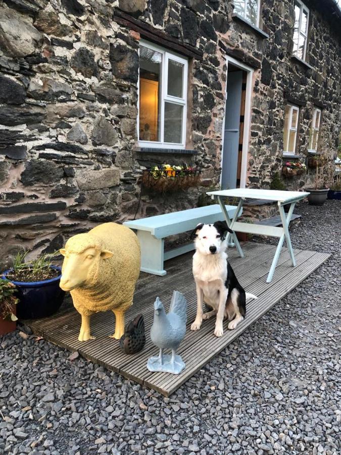 Bryn Glas Wales Villa Llangynog Екстериор снимка